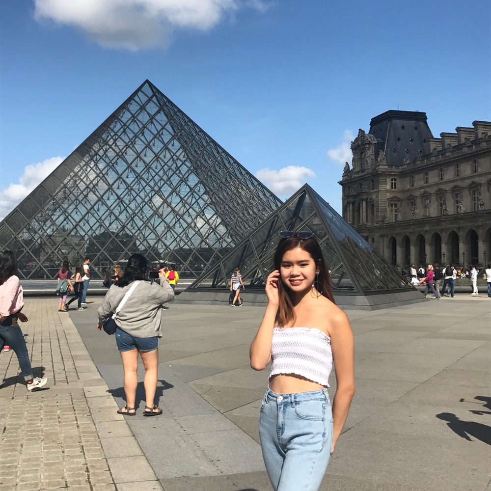 Smocked Cropped Tube Top